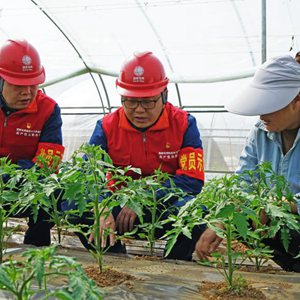 微信分享圖