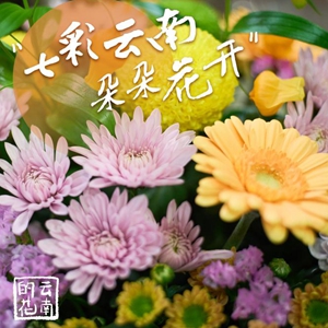 微信分享圖