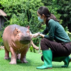 微信分享圖