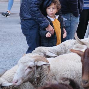 微信分享圖