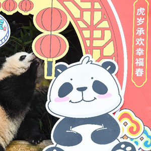 微信分享圖