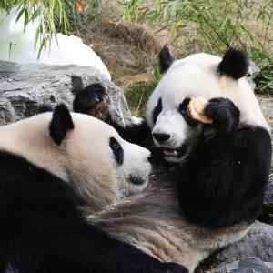 微信分享圖