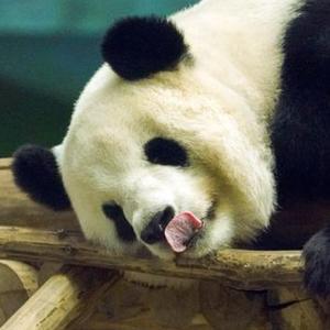 微信分享圖