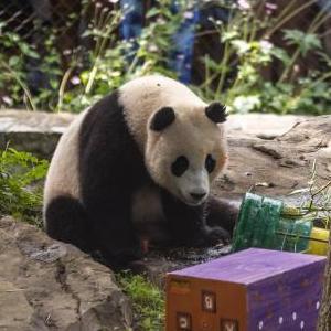 微信分享圖