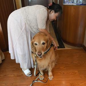 微信分享圖
