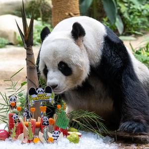 微信分享圖
