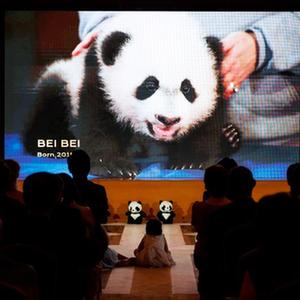 微信分享圖