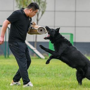 微信分享圖