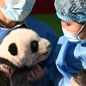 微信分享圖