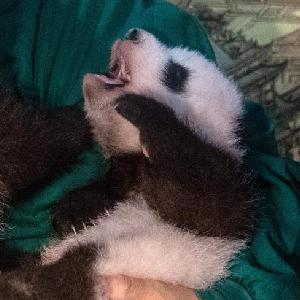 微信分享圖
