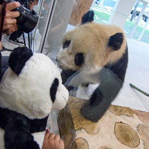 微信分享圖