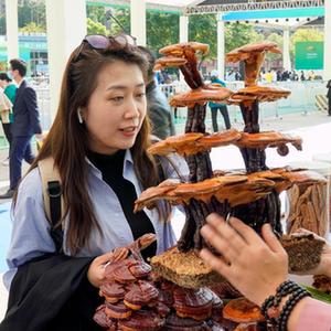 微信分享圖