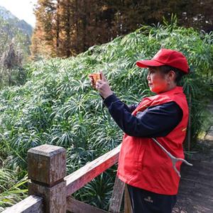 微信分享圖