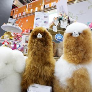 微信分享圖
