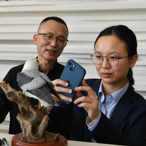 微信分享圖