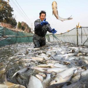 微信分享圖