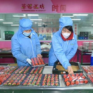 微信分享圖