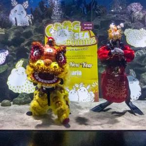 微信分享圖