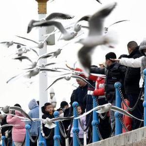 微信分享圖