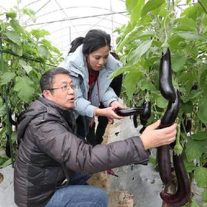 微信分享圖