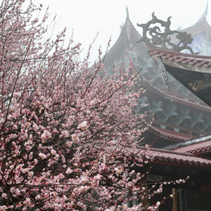 微信分享圖