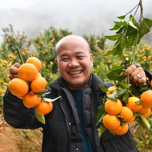 微信分享圖