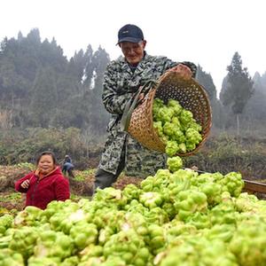 微信分享圖