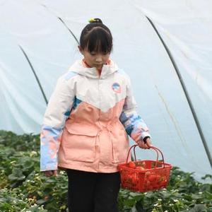 微信分享圖