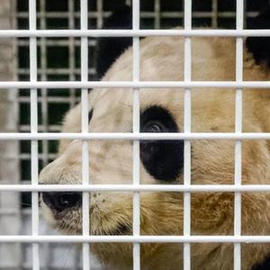 微信分享圖