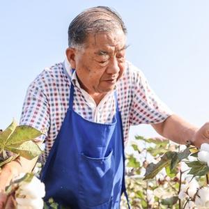 微信分享圖