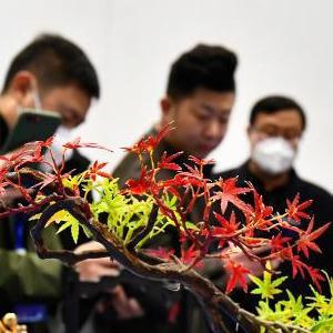 微信分享圖