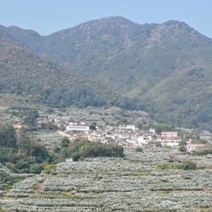 微信分享圖