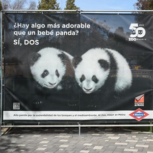 微信分享圖