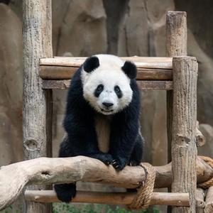 微信分享圖
