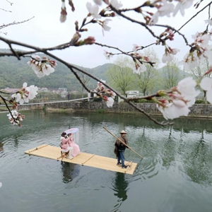 微信分享圖
