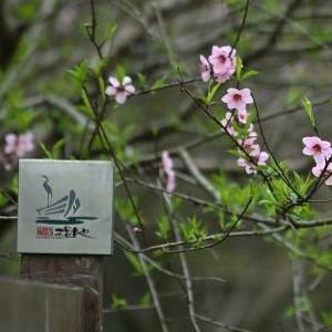 微信分享圖