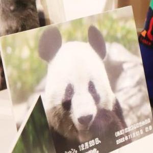 微信分享圖