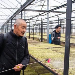 微信分享圖