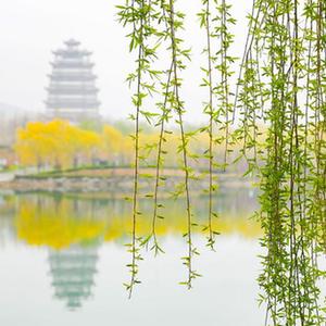 微信分享圖