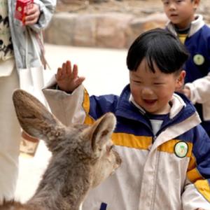 微信分享圖