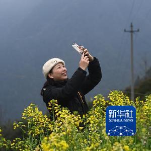 微信分享圖