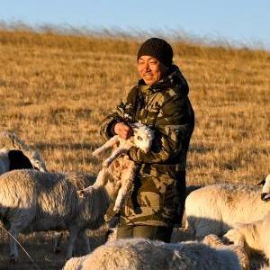 微信分享圖