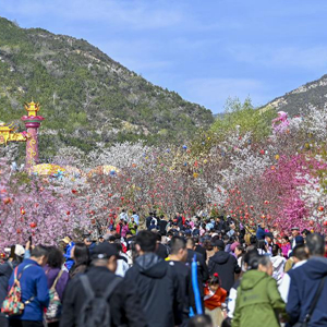 微信分享圖