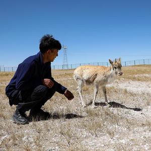 微信分享圖