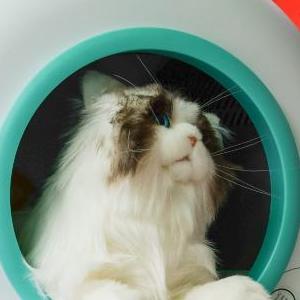 微信分享圖