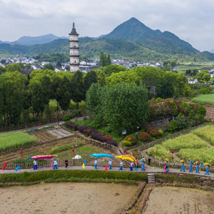 微信分享圖