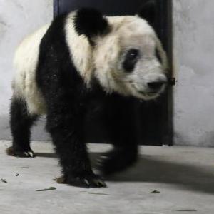 微信分享圖