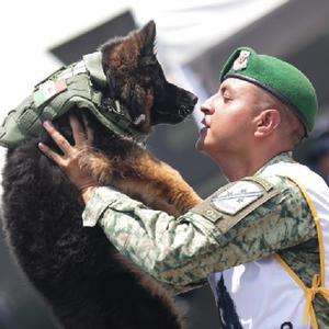微信分享圖