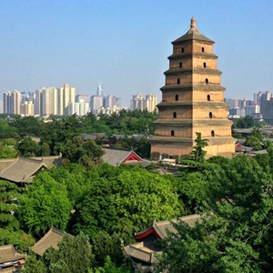 微信分享圖