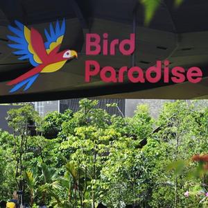 微信分享圖